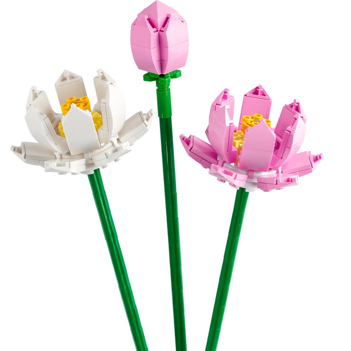 LEGO Flores de Loto 40647 Set de Construcción - Ramo de Flores Construibles con Flores de Loto en Rosa y Blanco, Decoración para Adultos
