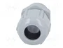 Lapp SKINTOP 53111010 Prensaestopas de Poliamida Gris M16x1.5, Pack de 100 unidades