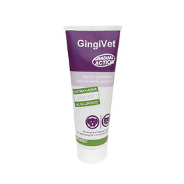 Stangest Gingivet Pasta 100g