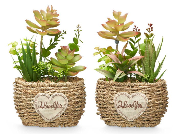 IBERGARDEN Maceta Ovalada Surtidos 14x22x10.5 cm Plástico Madera Verde (Set de 12)