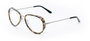Vuarnet VL18050003 Gafas para Hombre Marrón