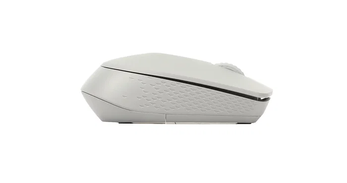 Rapoo M100 Silent Ratón Ambidextro RF Wireless + Bluetooth Gris Rapoo M100 Silent Ratón Ambidextro RF Wireless + Bluetooth Gris