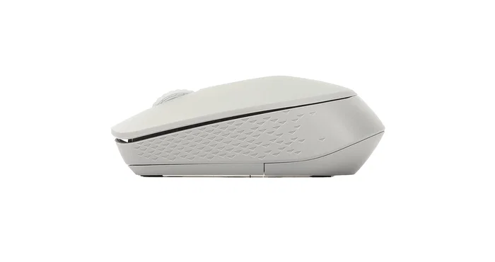 Rapoo M100 Silent Ratón Ambidextro RF Wireless + Bluetooth Gris Rapoo M100 Silent Ratón Ambidextro RF Wireless + Bluetooth Gris