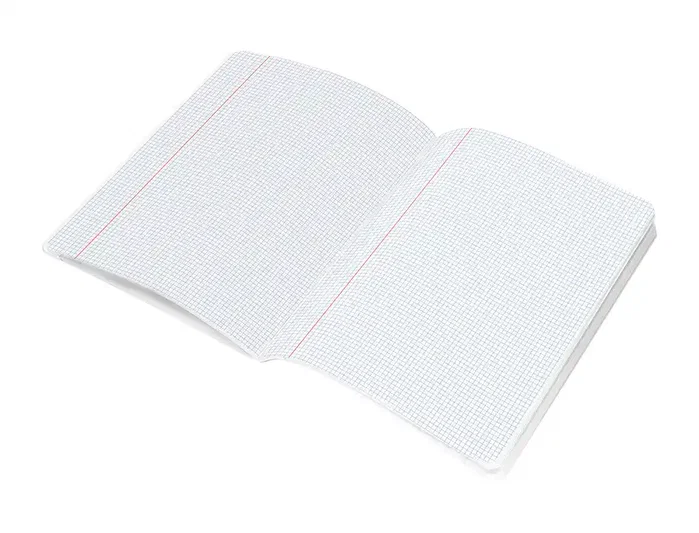 Liderpapel Scriptus A5 Plus Libreta de 48 hojas, Cuadro 3mm con Margen