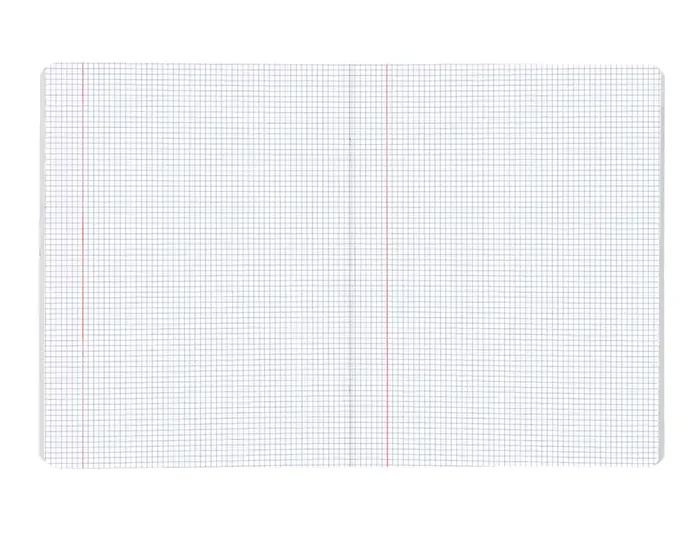Liderpapel Scriptus A5 Plus Libreta de 48 hojas, Cuadro 3mm con Margen