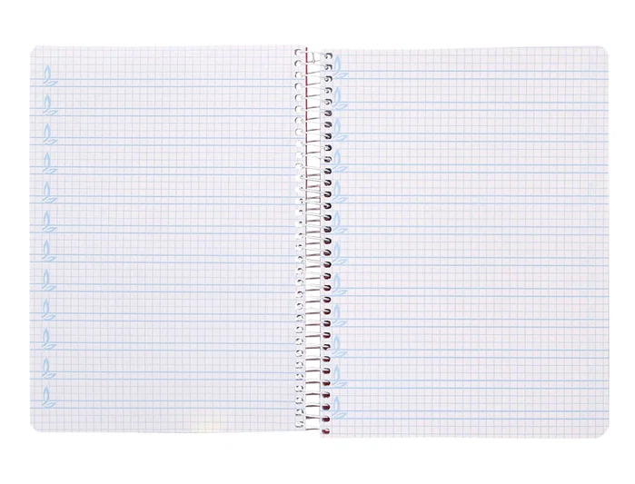 Liderpapel Cuaderno espiral Pautaguía A5 azul