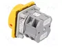 SPAMEL Interruptor de Leva 16A 0-1 Rojo/Amarillo