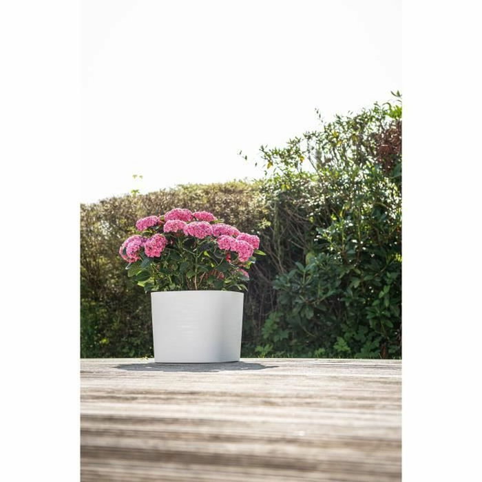 Garden Id Maceta con reserva de agua Respect Blanco 20 x 20 cm Garden Id Maceta con reserva de agua Respect Blanco 20 x 20 cm