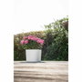 Garden Id Maceta con reserva de agua Respect Blanco 20 x 20 cm