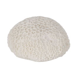 Lámpara Mesa Esponja Arenisca 13,70 X 13 X 9 cm (Set de 2)