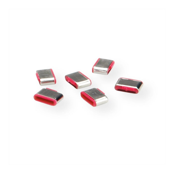 ROLINE 10 Unidades Llave de Bloqueo para Puerto USB Tipo C, Gris, Ref. 11.02.8333/8334