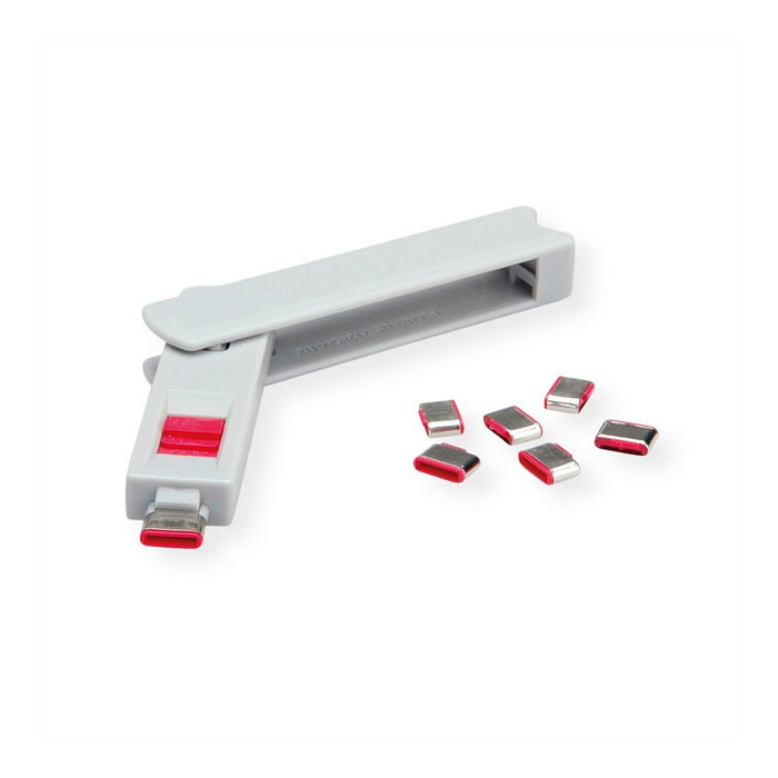 ROLINE 10 Unidades Llave de Bloqueo para Puerto USB Tipo C, Gris, Ref. 11.02.8333/8334