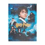 ERIK Puzzle Harry Potter y la Piedra Filosofal 500 Piezas
