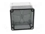 SPELSBERG TK PC 1111-9-TO Carcasa Universal Gris de Policarbonato