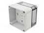 SPELSBERG TK PC 1111-9-TO Carcasa Universal Gris de Policarbonato
