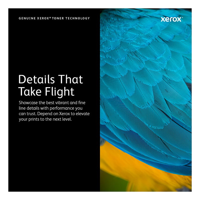 Xerox Cartucho de Tóner Amarillo Original 106R03875 Extra Alto Rendimiento para VersaLink C500/C505