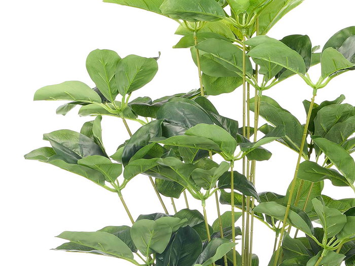 Ibergarden Maceta Decorativa con Diseño de Hojas Ovaladas, 90 cm de Alto, 60x60 cm, en Color Verde/Negro, de Plástico (Set de 6)