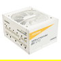 Enermax Revolution D.F.12 ETV850G-W Fuente de Alimentación 850W 80 PLUS Gold ATX 3.1 Totalmente Modular Blanca