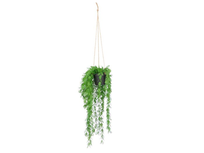 Ibergarden Planta Hoja Partida Colgar Plástico Verde y Negro 25 cm x 66 cm x 25 cm (Set de 12) Ibergarden Planta Hoja Partida Colgar Plástico Verde y Negro 25 cm x 66 cm x 25 cm (Set de 12)