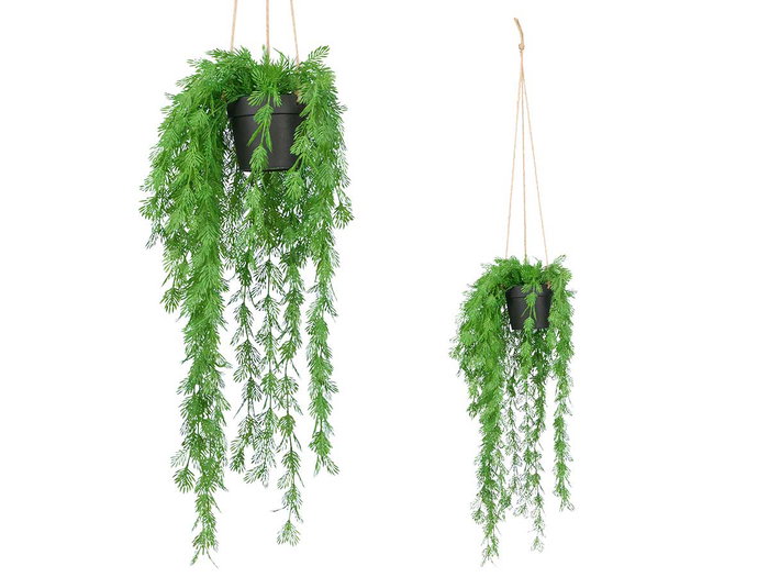 Ibergarden Planta Hoja Partida Colgar Plástico Verde y Negro 25 cm x 66 cm x 25 cm (Set de 12) Ibergarden Planta Hoja Partida Colgar Plástico Verde y Negro 25 cm x 66 cm x 25 cm (Set de 12)