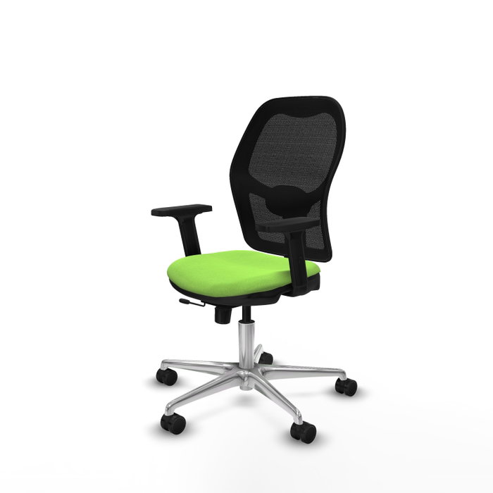 PIQUERAS Y CRESPO Silla de oficina Jorquera con mecanismo Sincro/Traslack, Pistacho y Negro PIQUERAS Y CRESPO Silla de oficina Jorquera con mecanismo Sincro/Traslack, Pistacho y Negro