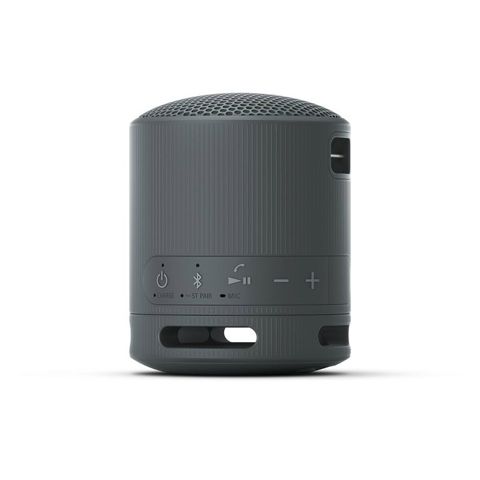 Sony SRS-XB100 Altavoz Portátil Bluetooth Negro