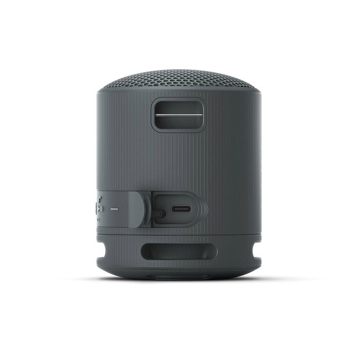Sony SRS-XB100 Altavoz Portátil Bluetooth Negro