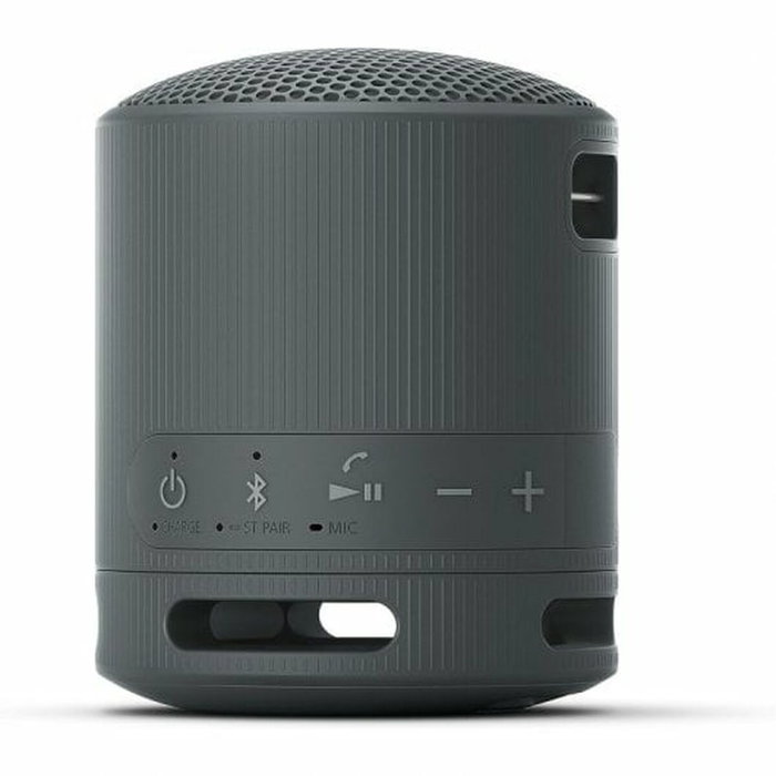 Sony SRS-XB100 Altavoz Portátil Bluetooth Negro