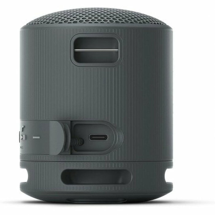 Sony SRS-XB100 Altavoz Portátil Bluetooth Negro