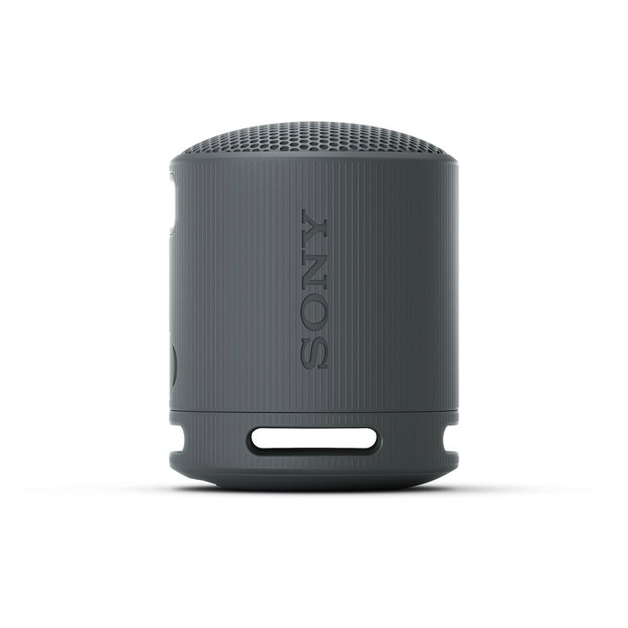 Sony SRS-XB100 Altavoz Portátil Bluetooth Negro