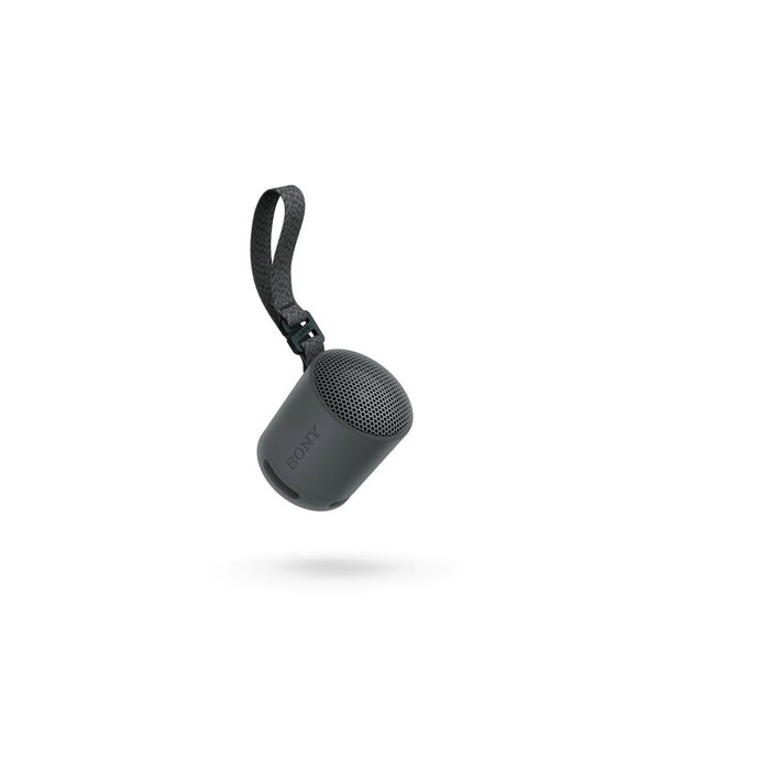 Sony SRS-XB100 Altavoz Portátil Bluetooth Negro