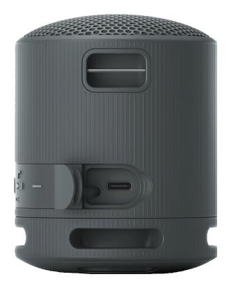 Sony SRS-XB100 Altavoz Portátil Bluetooth Negro