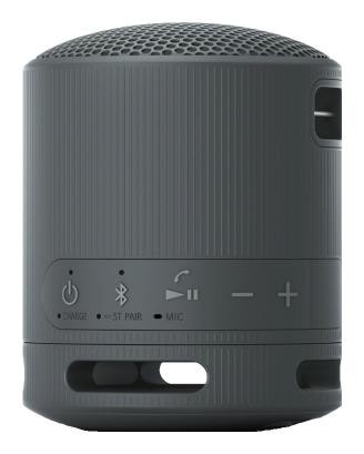 Sony SRS-XB100 Altavoz Portátil Bluetooth Negro