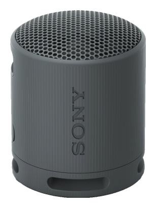 Sony SRS-XB100 Altavoz Portátil Bluetooth Negro