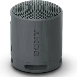 Sony Altavoz Portable Bluetooth SRS-XB100 Negro 2.0 Resistente al Agua IP67 Sonido Potente y Nítido Batería 16h