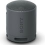 Sony Altavoz Portable Bluetooth SRS-XB100 Negro 2.0 Resistente al Agua IP67 Sonido Potente y Nítido Batería 16h