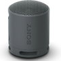 Sony SRS-XB100 Altavoz Portátil Bluetooth Negro