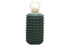 Bkr Botella de agua de vidrio GWP, 1000 ml