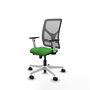 PIQUERAS Y CRESPO Silla de oficina Motilla con mecanismo Sincro/Traslack, Verde y Gris