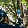 Makita DUA200Z Podadora de altura inalámbrica con cabezal ajustable
