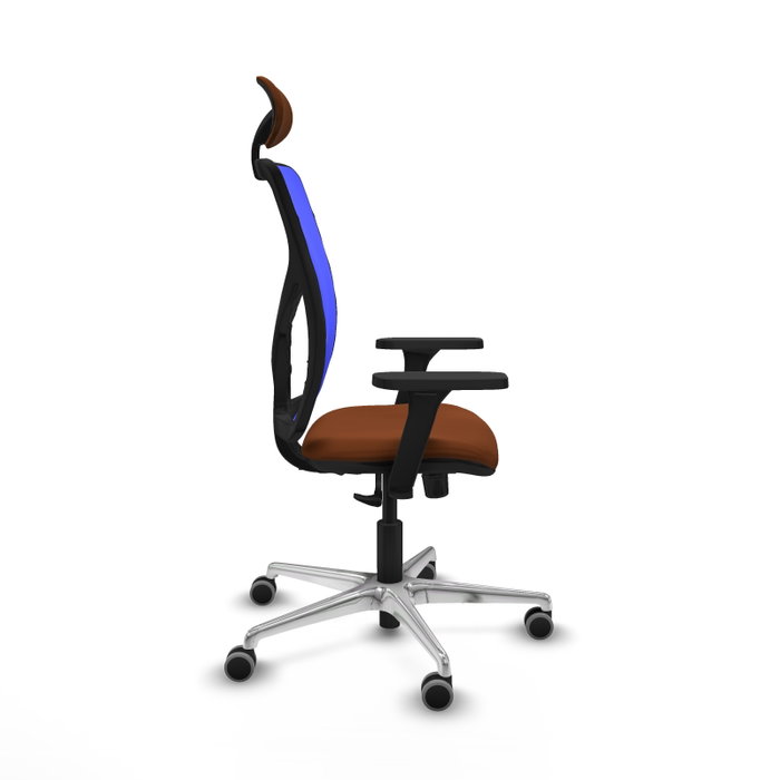 PIQUERAS Y CRESPO Silla de oficina Motilla con mecanismo Sincro, Marrón y Azul PIQUERAS Y CRESPO Silla de oficina Motilla con mecanismo Sincro, Marrón y Azul