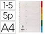 Q-connect Separadores Plástico Juego de 5 Separadores DIN A4 Multitaladro