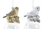 DKD Home Decor Decoración Colgante Pájaro en Resina y Cristal, Surtido de 4, 12 Unidades