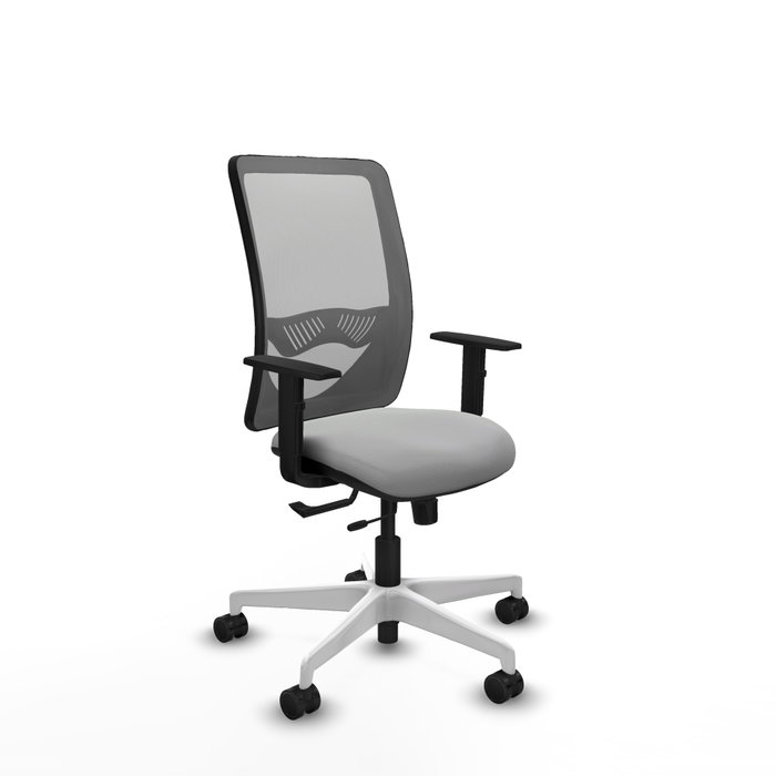 PIQUERAS Y CRESPO Silla de oficina Zulema con mecanismo Sincro/Traslack, Gris claro PIQUERAS Y CRESPO Silla de oficina Zulema con mecanismo Sincro/Traslack, Gris claro