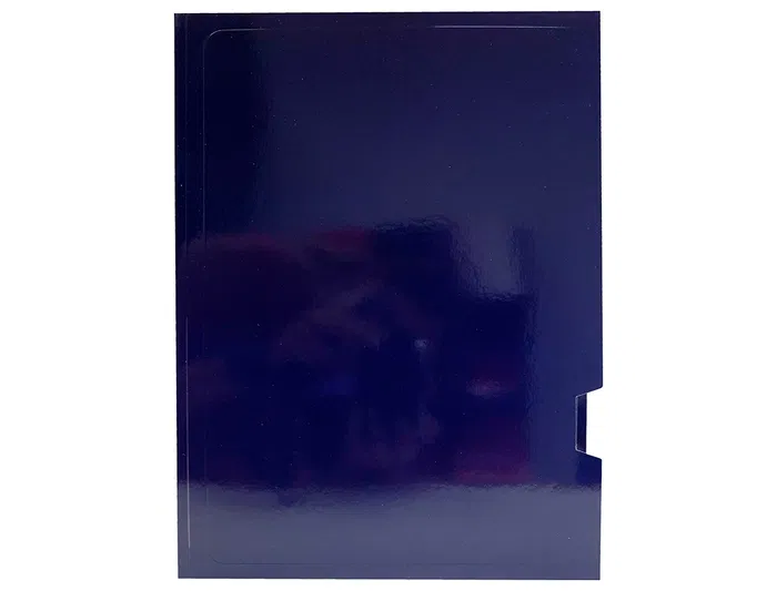 Gio Subcarpeta de Presentación DIN A4, 2 Solapas, Cartulina Plastificada 275 g/m², Color Azul Gio Subcarpeta de Presentación DIN A4, 2 Solapas, Cartulina Plastificada 275 g/m², Color Azul