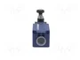 TELEMECANIQUE SENSORS Interruptor de fin de carrera XCKS131H29 M20 NO + NC