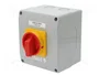 SPAMEL Interruptor de leva 100A 0-1 de 3 polos