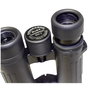Braun Compagno 8x34 WP