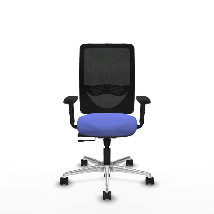 PIQUERAS Y CRESPO Silla de oficina Zulema con mecanismo Sincro/Traslack, Azul claro y Negro PIQUERAS Y CRESPO Silla de oficina Zulema con mecanismo Sincro/Traslack, Azul claro y Negro