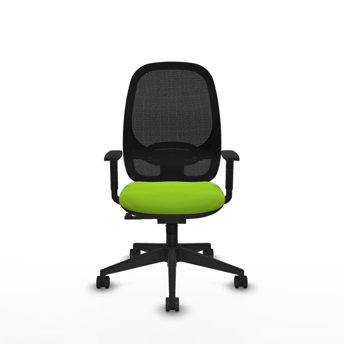 PIQUERAS Y CRESPO Silla de oficina Cilanco con mecanismo Sincro, color Pistacho y Negro PIQUERAS Y CRESPO Silla de oficina Cilanco con mecanismo Sincro, color Pistacho y Negro